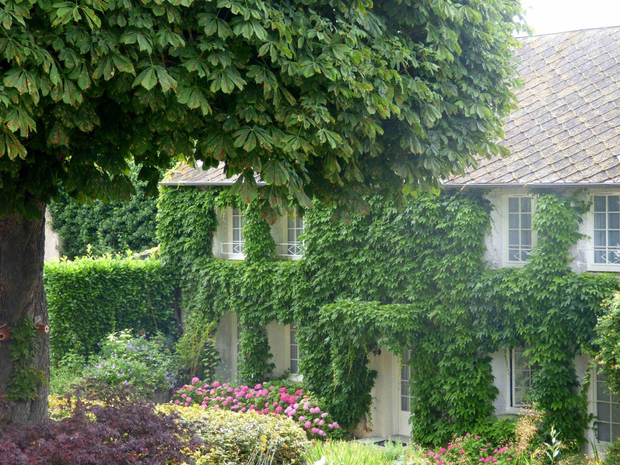 Hotel La Tonnellerie Beaugency Exterior photo